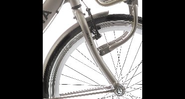 Alpina Voorvork 26 Clubb gold met matt