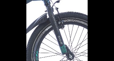 Alpina Voorvork 20 Brave Vulcano Black matt