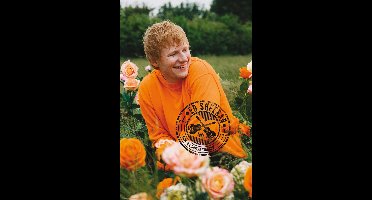 Poster Ed Sheeran - Rose Field 61x91,5cm