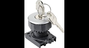 TRU COMPONENTS TC-10343996 S3KF-2FS Frontelement voor sleutelschakelaar Sleutel Zilver 1 x 90 ° 1 stuk(s)