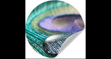 WallCircle® - Behangcirkel 30x30 cm - Muurstickers Close-up van een waterdruppel op de veer van een pauw - Muurcirkel woonkamer - Wandcirkel slaapkamer - Kamer decoratie zelfklevend - Muurdecoratie accessoires