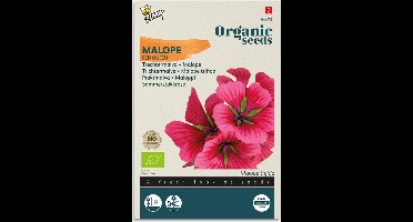 Buzzy® Organic - Malope - Trechtermalva Red Queen (BIO)