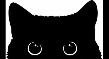 Universeel Auto Sticker - zielige kat met grote ogen - waterdicht vinyl