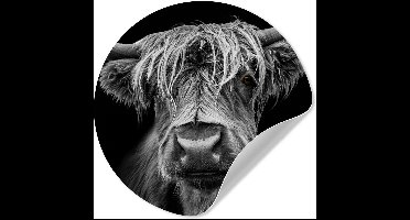 WallCircle® - Behangcirkel 30x30 cm - Muurstickers Schotse Hooglander - Horens - Zwart - Wit - Koe - Wild - Dieren - Muurcirkel woonkamer - Wandcirkel slaapkamer - Kamer decoratie zelfklevend - Muurdecoratie accessoires