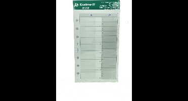 Exacompta 18216 Adres-telefoonvervanger, papieren organizer voor Exatime 17 agenda (47 vellen), wit