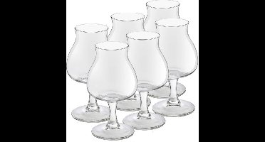 Royal Leerdam Speciaal Bierglazen Lund - 12x stuks - 260 ml - Hoog glas op voet - Belgische bieren special