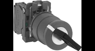 Schneider Electric XB5AG21 XB5AG21 Sleutelschakelaar 1 stuk(s)