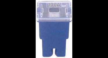 FLF pal zekering 100 amp 1 stuk
