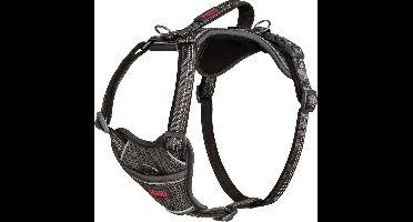 Company of Animals - Anatomy Halti - Honden Harnas - Grijs - Maat L - Nekomvang: 42-65 cm - Borstomvang: 60-85 cm