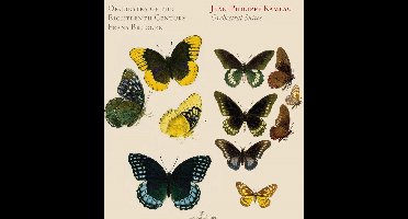 Orchestra of the Eighteenth Century, Frans Brüggen - Rameau: Orchestral Suites (CD)