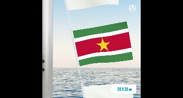 Vlaggetje Suriname 20x30cm