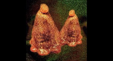 Black To Comm - Oocyte Oil & Stolen Androgens (CD)