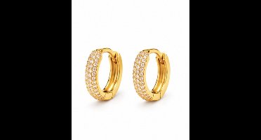 Oorbellen - Goudkleurig - roestvrij staal - Sieraden - Oren - Vrouwen- verjaardag cadeau - cadeau - Schattige Oorbellen