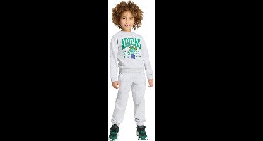 Adidas Sportswear Adidas Minecraft Joggingpak - Kinderen - Grijs