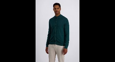 pierre cardin Gebreide jas StKrRV