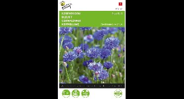 Korenbloem Blue Ball - Centaurea cyanus