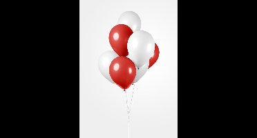 Ballonnen Set Rood/Wit (10st)