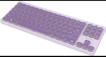 Canyon OnType 10 - Mechanisch Toetsenbord - Laag Profiel - Violet - USB Type C
