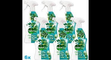 Dettol Allesreiniger Spray Eucalyptus - 6 x 500ml - 6 Stuks