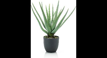 Emerald - Kunstplant in pot Aloe Vera 35cm - Kunstplant voor binnen