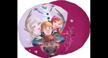 Frozen Paars rond kussen, sierkussen, decoratief 40 cm