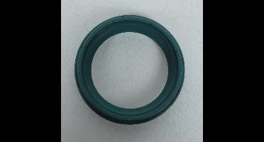 Cache poussière de fourche SKF pour Moto KTM 950 Super enduro R 2007 Neuf