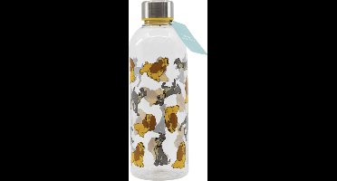 Lady en de Vagebond - hydro Bottle - drinkfles / drinkbeker - Plastiek - 850ml