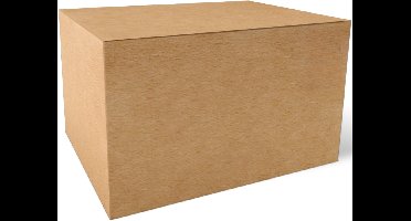 ApexArte® Gourmetstellen - Raclette - Teppanyaki Bakplaat -Zwart