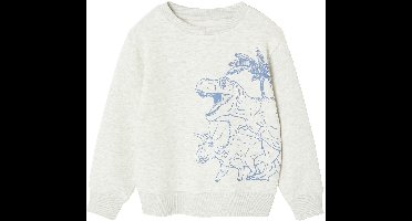 Vertbaudet Fantasie sweater voor jongens