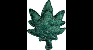 Honden Speelgoed - Touw Speelgoed - Apporteren Trekken - Waterbestendig Materiaal - 27x16x3cm - Meerkleurig