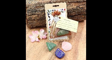 Buideltje Vriendschap