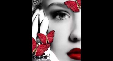 Twisk diamond painting set vrouw vlinder 40x50cm multi kleur.