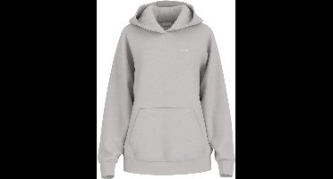 Guess Dames Trui Grijs V6RQ14-K9V31/H90V Nat