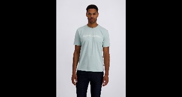 pierre cardin T-shirt in moderne pasvorm