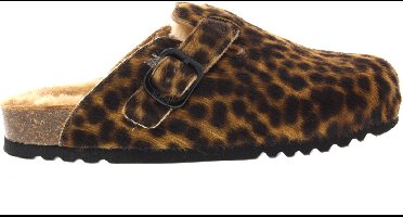 Scholl Fae New Instappers - Dames - Bruin - Maat 37