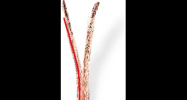 Speaker-Kabel - 2 x 6.00 mm² - Koper - 100.0 m - Rond - PVC - Transparant - Rol