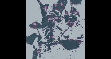 Chasms - On The Legs Of Love Purified (LP) (Limited Edition)