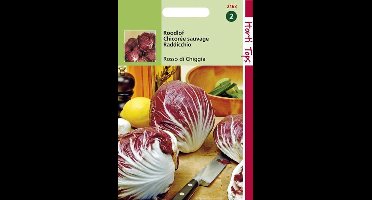 Hortitops Zaden - Radicchio Rosso Di Chioggia (Palla Rossa)-5