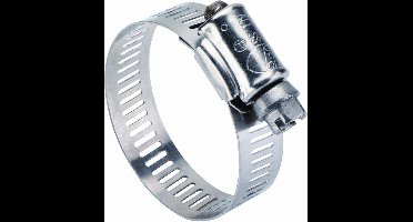 2x Slangklem RVS 8-12mm - W4 Amerikaans