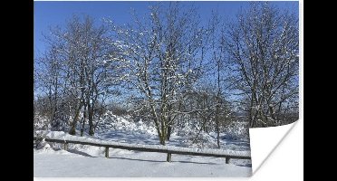 Poster Een winterse dag onder een blauwe lucht van de Ardennen - 30x20 cm