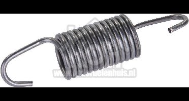 Bosch Veer Ophangveer voor kuip WM54800SN01, WFL2000SN01 00606818