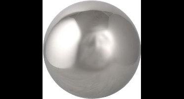 Esschert Design Heksenbol 9,8 Cm Rvs Zilver