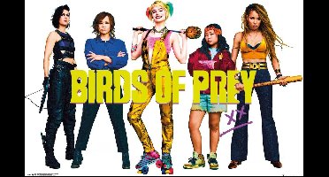DC Comics Poster - Birds Prey Group - 61 X 91.5 Cm - Multicolor