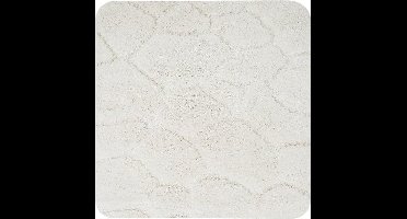 Dutch House Bidetmat Nancy - Bidetmat 60x60cm - Beige - Antislip - Badmatten - Anti Slip Douchemat - Badkamer Mat - Snel Absorberend - Snel Drogende Badmat - Bidetmat - WC mat - Toiletmat voor hangend toilet