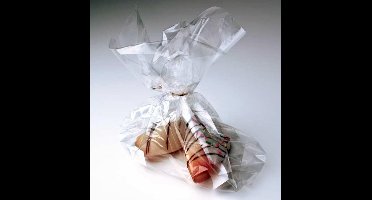 Plastic Zakken 6.3x5.1x15.2cm met zijvouw (100 stuks) | Plastic zak