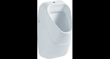 Geberit 300 urinoir met keramisch rooster en boveninlaat 34x34cm wit