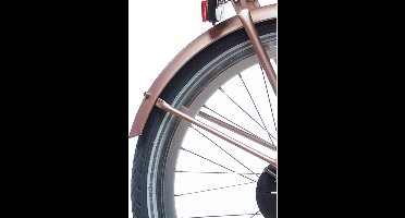 Alpina Spatbord set + stang 20 Clubb rose gold matt