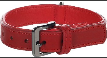 Hond Halsband met sierbeslag Denver Rood S / M 31-37cm 25mm