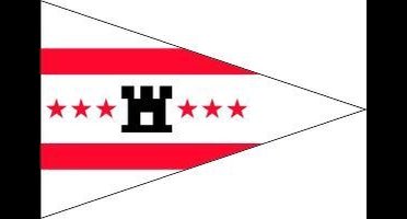 Puntvlaggetje Drenthe 20x30cm