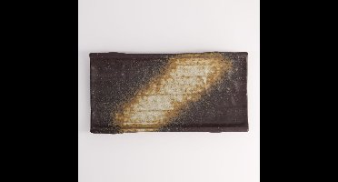Tokyo Design Studio - Groot Rechthoekig Bord - Bruin/Zwart - 24,7 x 12,2 x 3,2 cm